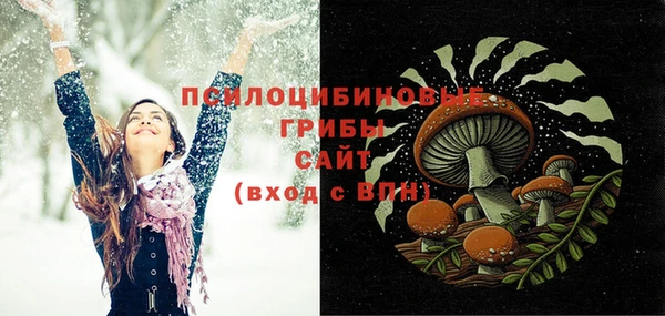 ГАЛЛЮЦИНОГЕННЫЕ ГРИБЫ Верхнеуральск