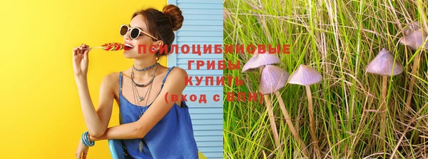 ГАЛЛЮЦИНОГЕННЫЕ ГРИБЫ Верхнеуральск