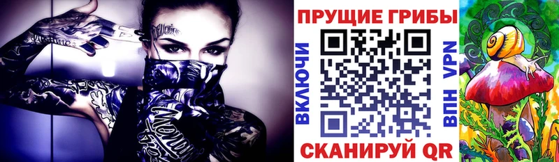 где продают наркотики blacksprut рабочий сайт Галлюциногенные грибы мицелий Лиски